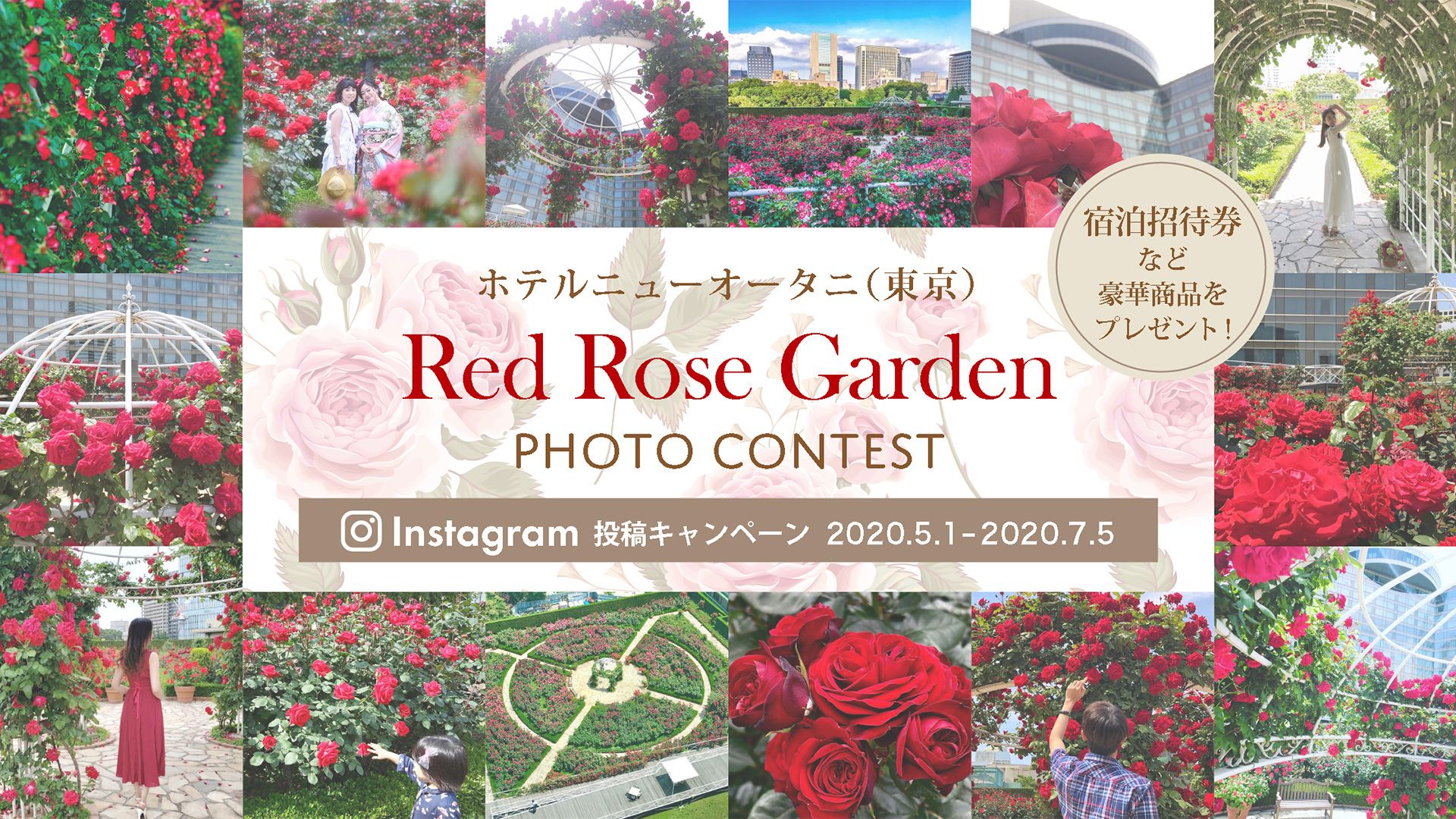 Red Rose Garden Instagram Photo Contest