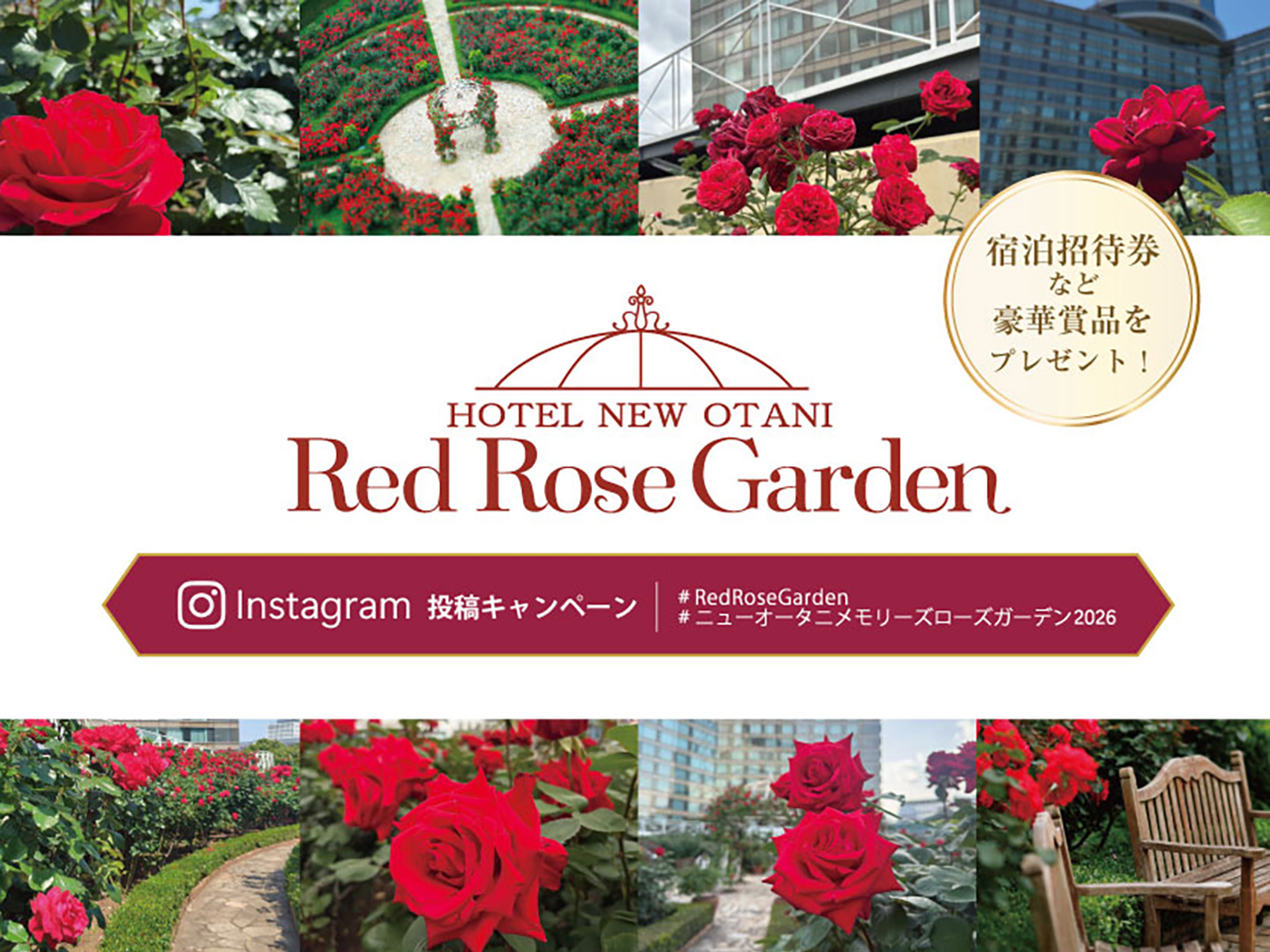 Red Rose Garden Instagram Photo Contest