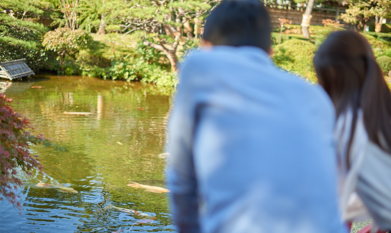 日本庭園で池を眺める夫婦の写真