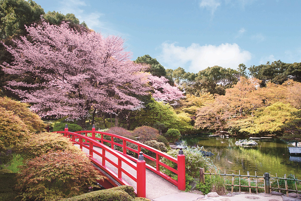 四季の移り変わりを臨む、一万坪の日本庭園