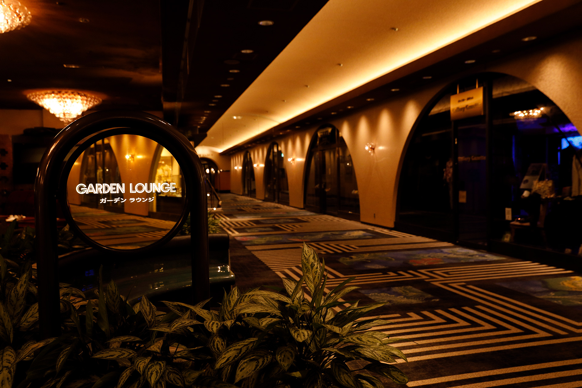 NIGHT LOUNGE