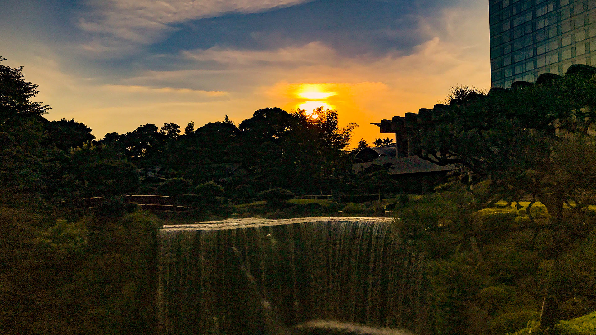 GARDEN SUNSET