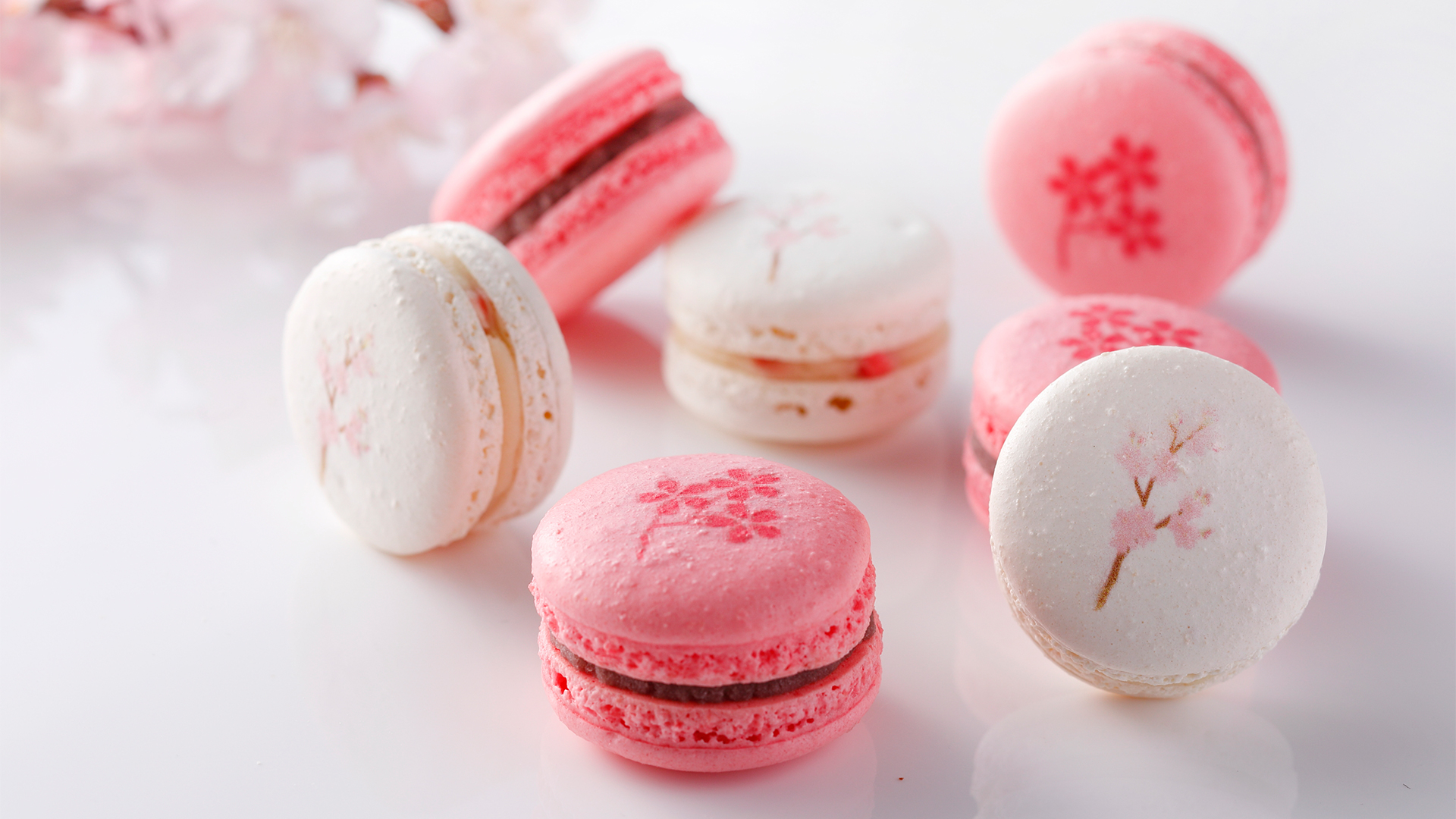新桜マカロン