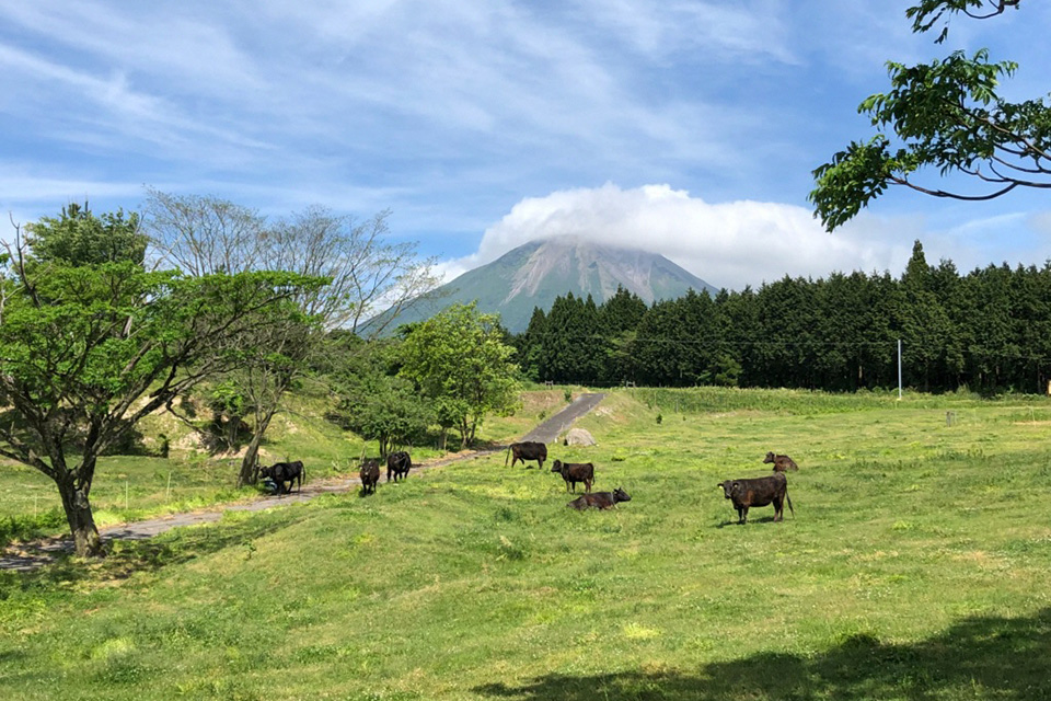 肉質日本一！「鳥取和牛フェア」