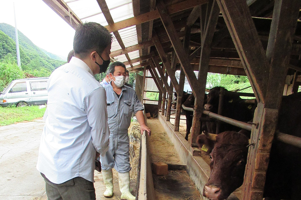 岩手県のおいしいブランド牛 「いわて牛」「いわて短角牛」肉フェア