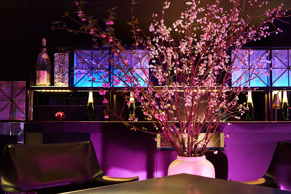 店内の桜の写真