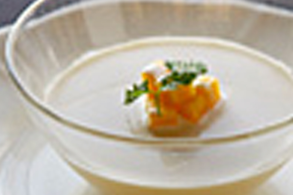 Mango Pudding Mango Pudding