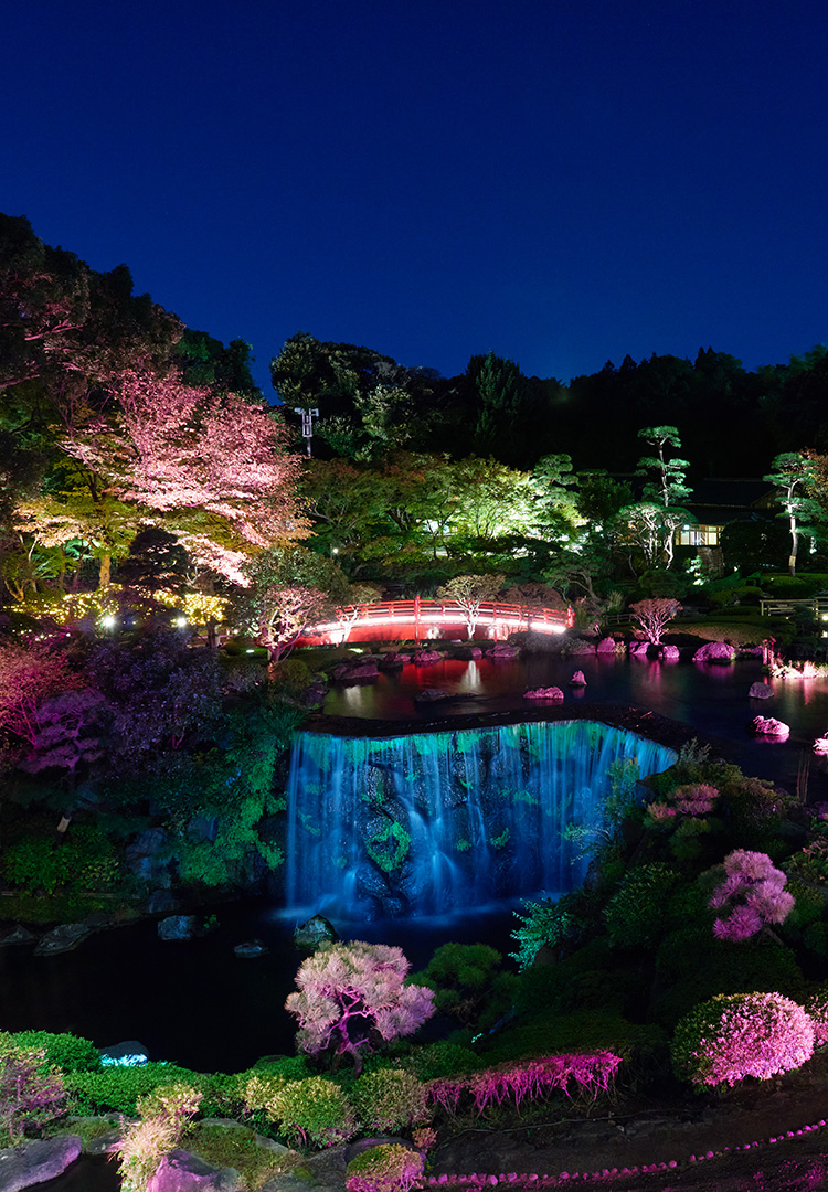 ライトアップされた夜桜が楽しめる日本庭園