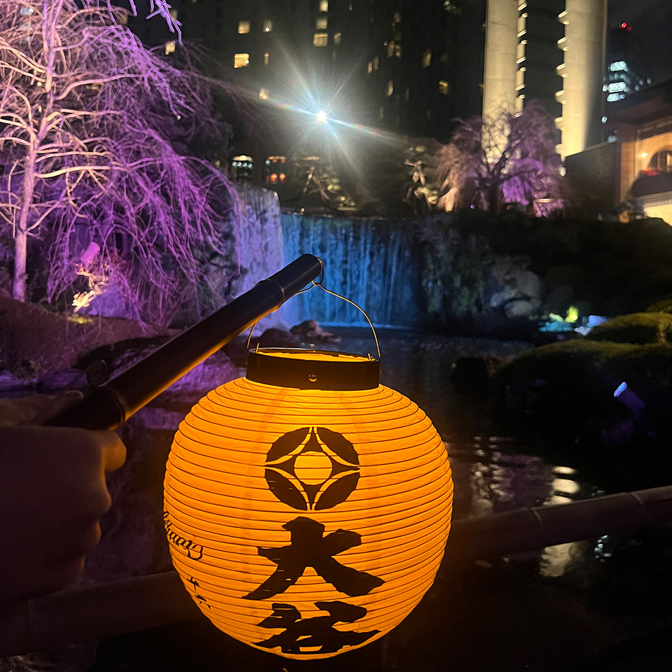 "Sakura" Garden Lantern Stroll