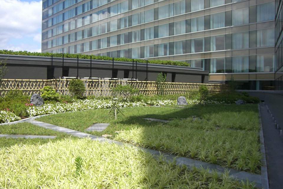 Rooftop greenery & rose garden