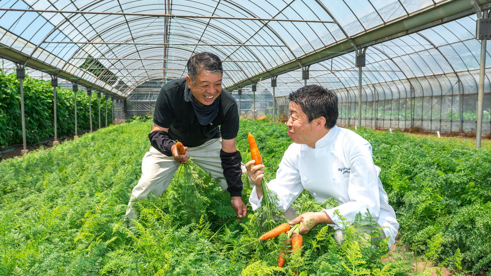 野菜の生産者とシェフが収穫している写真