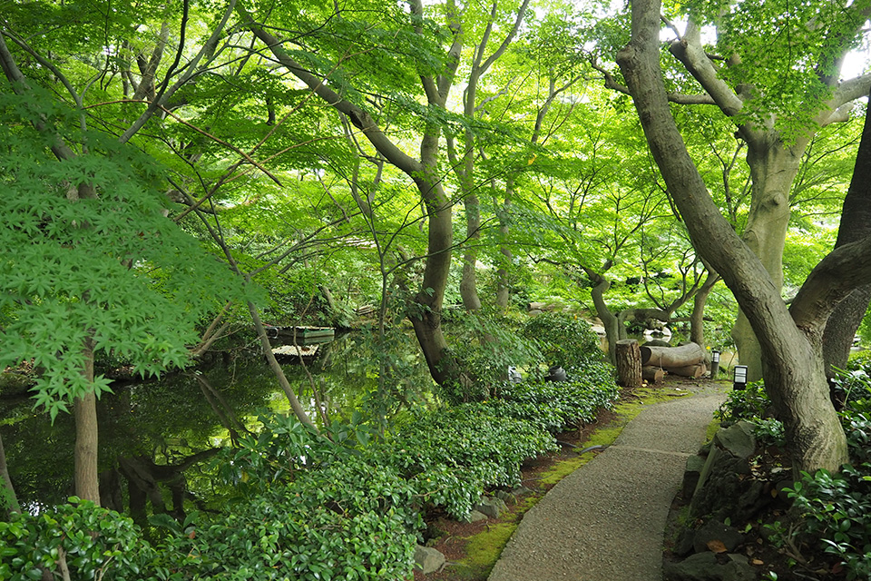 日本庭園の散策