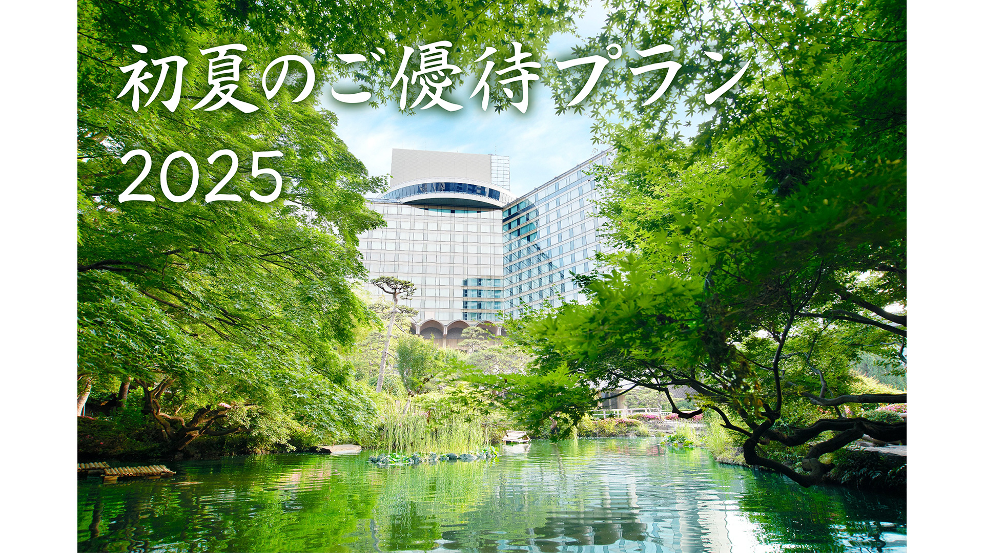 初夏のご優待プラン