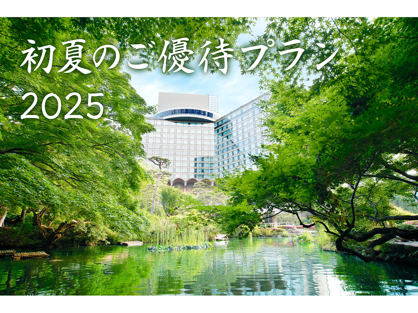 初夏のご優待プラン
