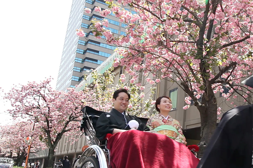 紀尾井町通りの桜並木を人力車で通る様子
