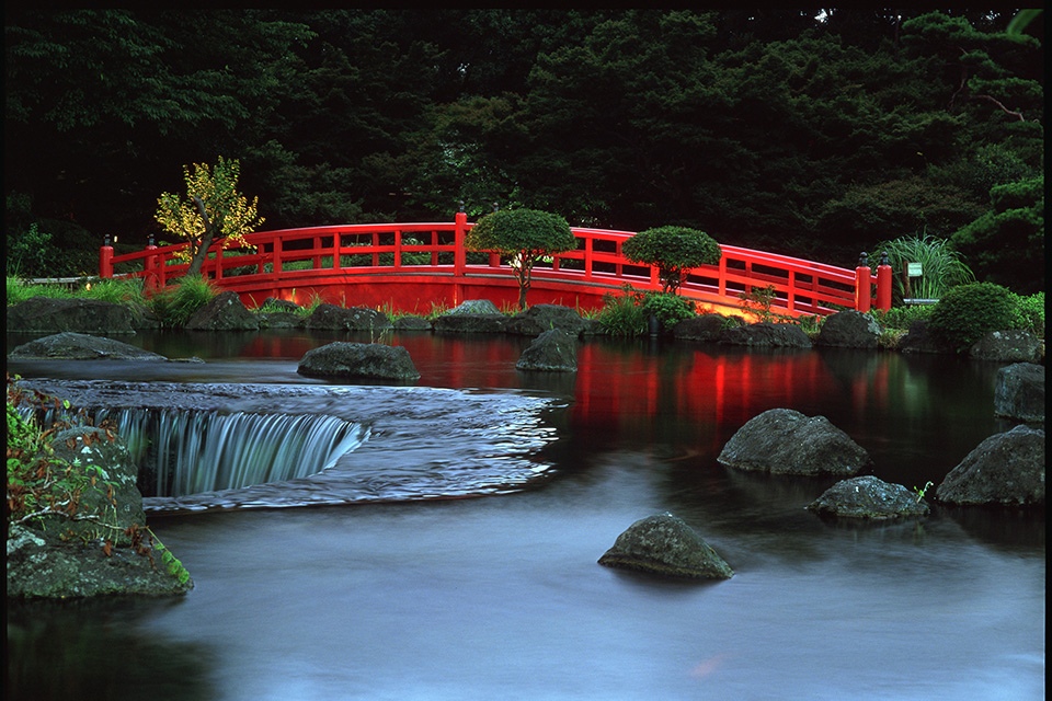 JAPANESE GARDEN