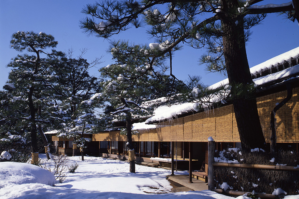 JAPANESE GARDEN