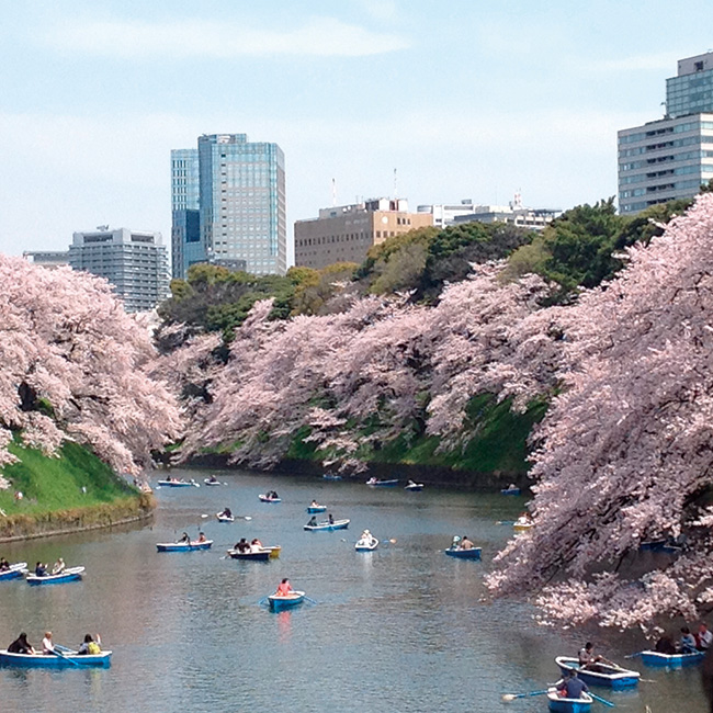 Chidorigafuchi moat