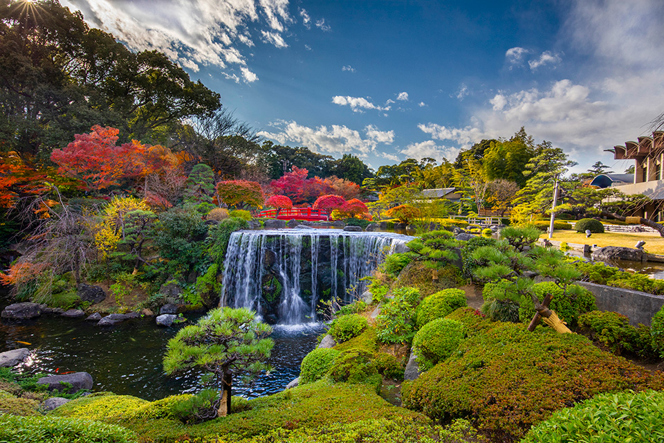 紅葉する日本庭園の写真