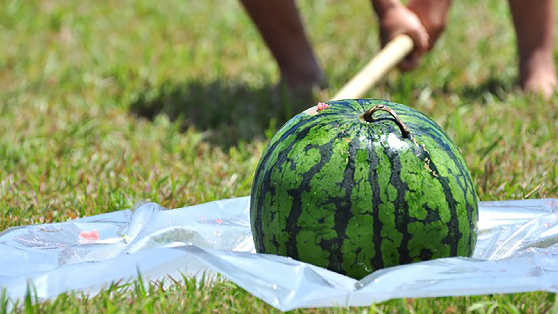 Watermelon Splitting