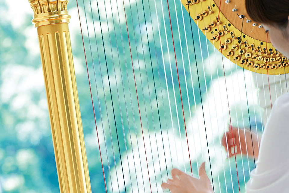 サンライズ・ガーデン