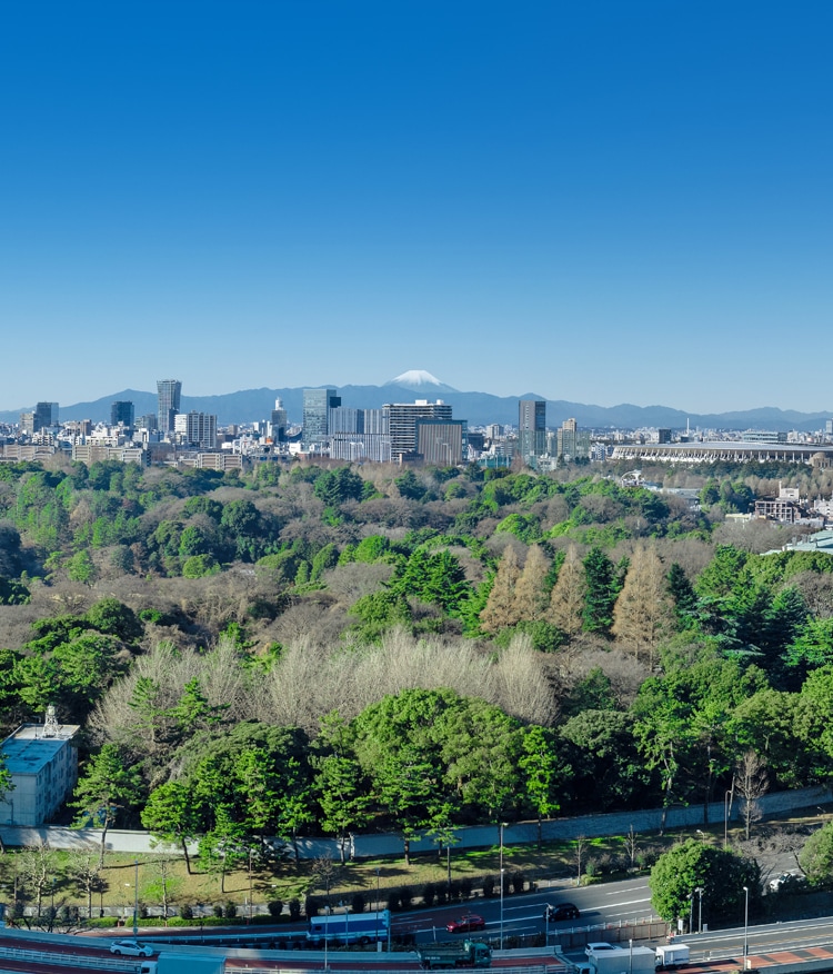 SUPER-VIEW TOKYO WEDDING