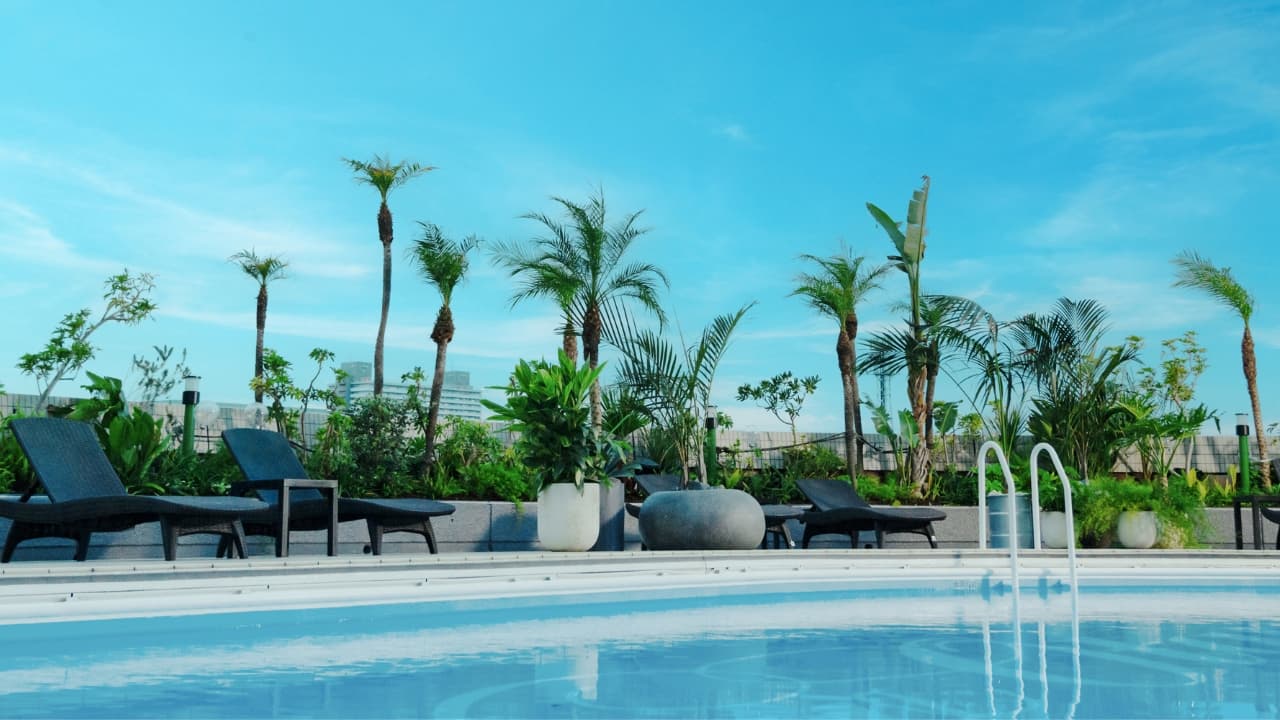 Day Pool