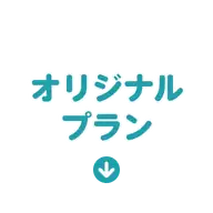 オリジナルプラン