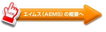 エイムス（AEMS)の概要へ