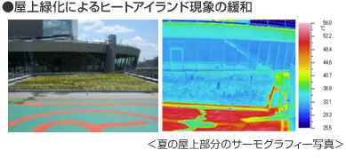 屋上緑化によるヒートアイランド現象の緩和