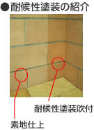 耐候性塗装の紹介