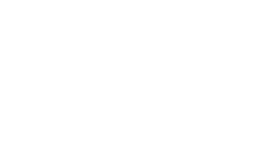 EXECUTIVE HOUSE ZEN